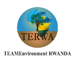 Team Environment